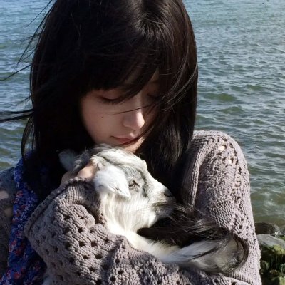 少帅的伪装情人